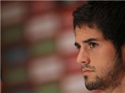 Bóng đá anh, ngoại hạng anh, lịch thi đấu euro 2012, Tây Ban Nha và cuộc chiến của những “cánh chim lạ”
